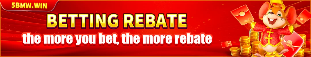 BMW55 betting rebate — 0.5% cashback across slots, casino, cards, fishing, and sports